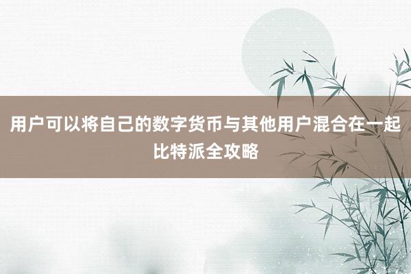 用户可以将自己的数字货币与其他用户混合在一起比特派全攻略