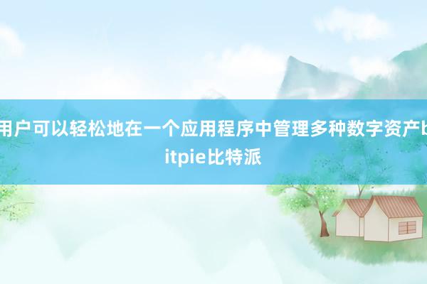 用户可以轻松地在一个应用程序中管理多种数字资产bitpie比特派