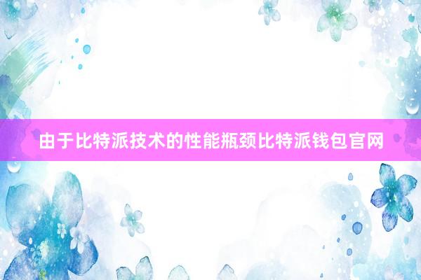 由于比特派技术的性能瓶颈比特派钱包官网