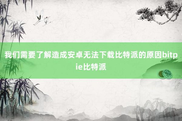 我们需要了解造成安卓无法下载比特派的原因bitpie比特派