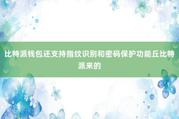 比特派钱包还支持指纹识别和密码保护功能丘比特派来的