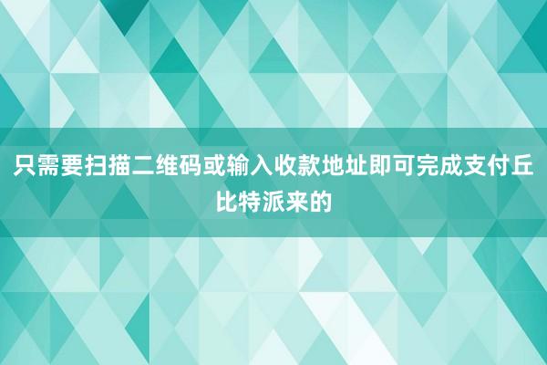 只需要扫描二维码或输入收款地址即可完成支付丘比特派来的