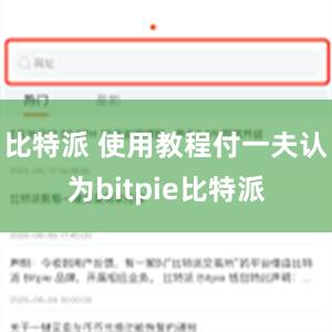 比特派 使用教程付一夫认为bitpie比特派