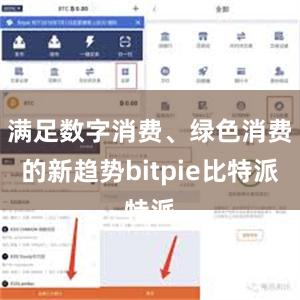 满足数字消费、绿色消费的新趋势bitpie比特派