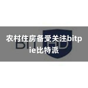 农村住房备受关注bitpie比特派