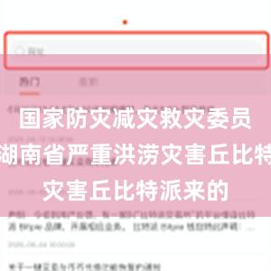 国家防灾减灾救灾委员会针对湖南省严重洪涝灾害丘比特派来的